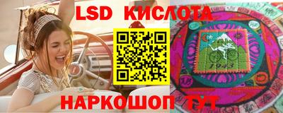 гашик Жуковский