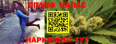 гашик Жуковский