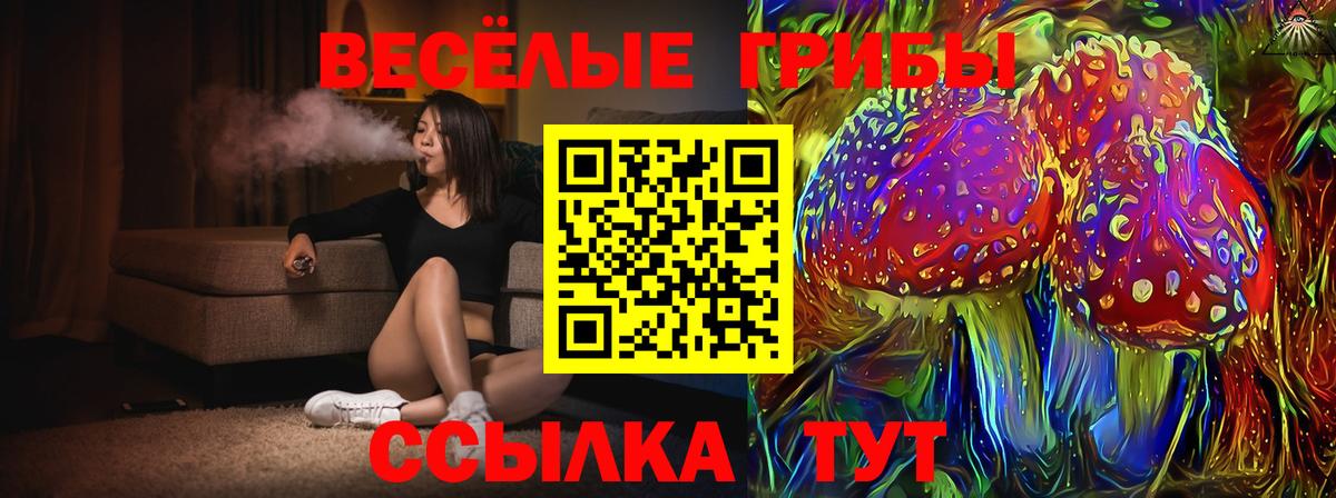 Галлюциногенные грибы мухоморы  где купить наркоту  Дальнегорск  Вход с VPN  Галлюциногенные грибы GOLDEN TEACHER 