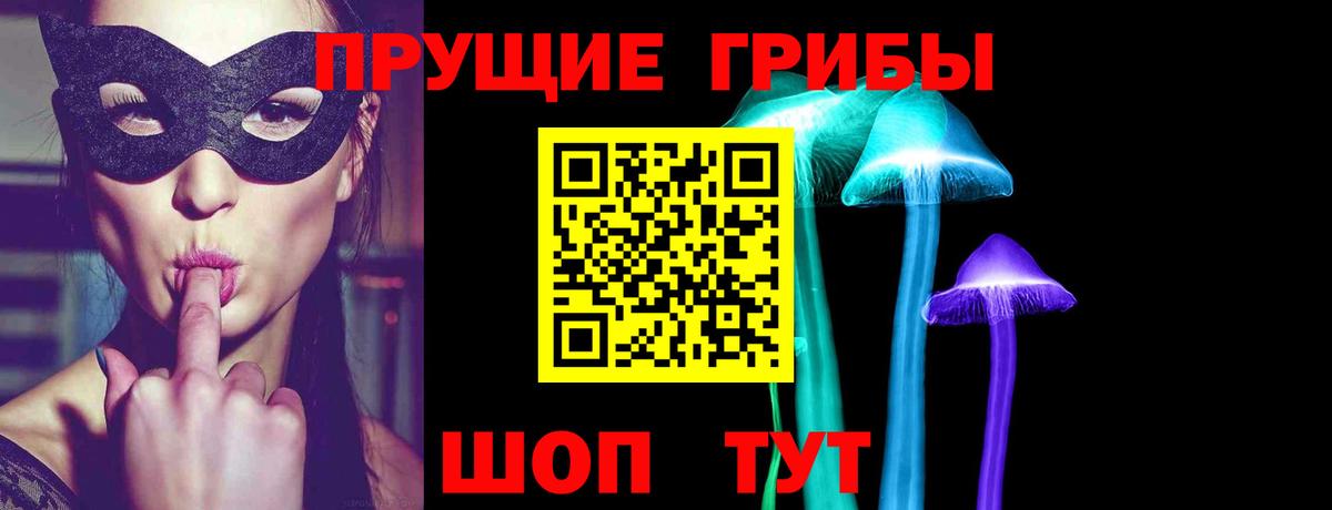 Псилоцибиновые грибы мицелий Дальнегорск